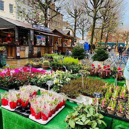 Martin's Court Hub Daire